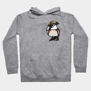 Chestnut Sided Warbler Graphic Hoodie